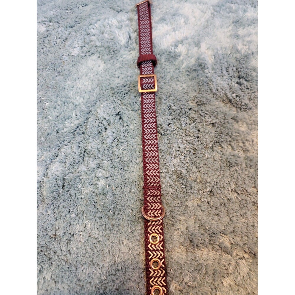 Dog Collar